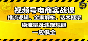 视频号电商实战课:推流逻辑、全案解析,话术框架,稳流量及违规规避等-理想项目库