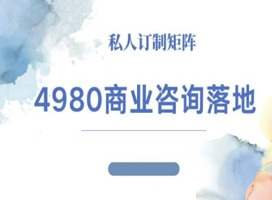 4980商业咨询师落地课程-ip运营高客单教程-理想项目库