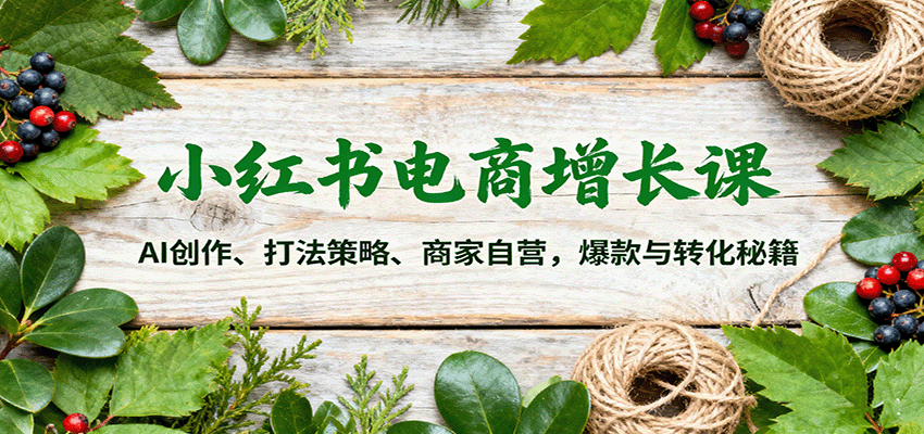 小红书电商增长课：AI创作、打法策略、商家自营，爆款与转化秘籍-理想项目库