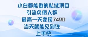 2025年小白都能做的私域项目引流负债人群最高一天变现1k+高变现难度低当天就能见到钱上手快-理想项目库