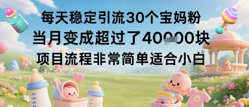 每天稳定引流30个宝妈粉当月变成超过了1W+项目流程非常简单适合小白-理想项目库