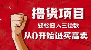 手把手教你撸货，从0开始低买高卖，小白轻松实现日入三位数!!!-理想项目库