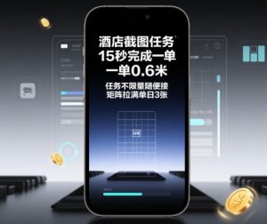 酒店截图任务,15秒完成一单,一单0.6米,任务不限量随便接,矩阵拉满单日3张【揭秘】-理想项目库