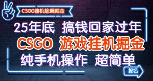 25年底搞钱回家过年，CSGO游戏挂机掘金，纯手机操作超简单-理想项目库