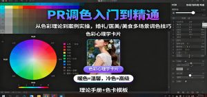 PR调色入门到精通：从色彩理论到案例实操，婚礼/医美/美食多场景调色技巧-理想项目库