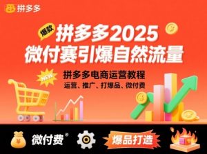 拼多多2025微付费引爆自然流量,拼多多电商运营教程,运营、推广、打爆品、微付费(更新)-理想项目库