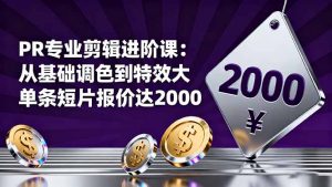 PR专业剪辑进阶课:从基础调色到特效大片的进阶技能,单条短片报价达2000-理想项目库
