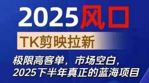 2025风口TK剪映capcut拉新项目,极限高客单,市场空白,2025下半年真正的蓝海项目-理想项目库
