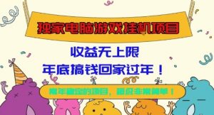 独家电脑游戏挂G项目,常年稳定,收益无上限,年底搞钱回家过年【揭秘】-理想项目库
