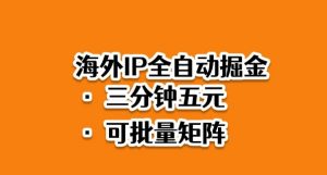 海外ip全自动掘金,2025必做蓝海项目,3分钟落地,矩阵直接开干【揭秘】-理想项目库
