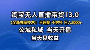 淘宝无人直播13.0,公域私域技术,不封号,不违规 布局下半年旺季赛道,日入2000+-理想项目库