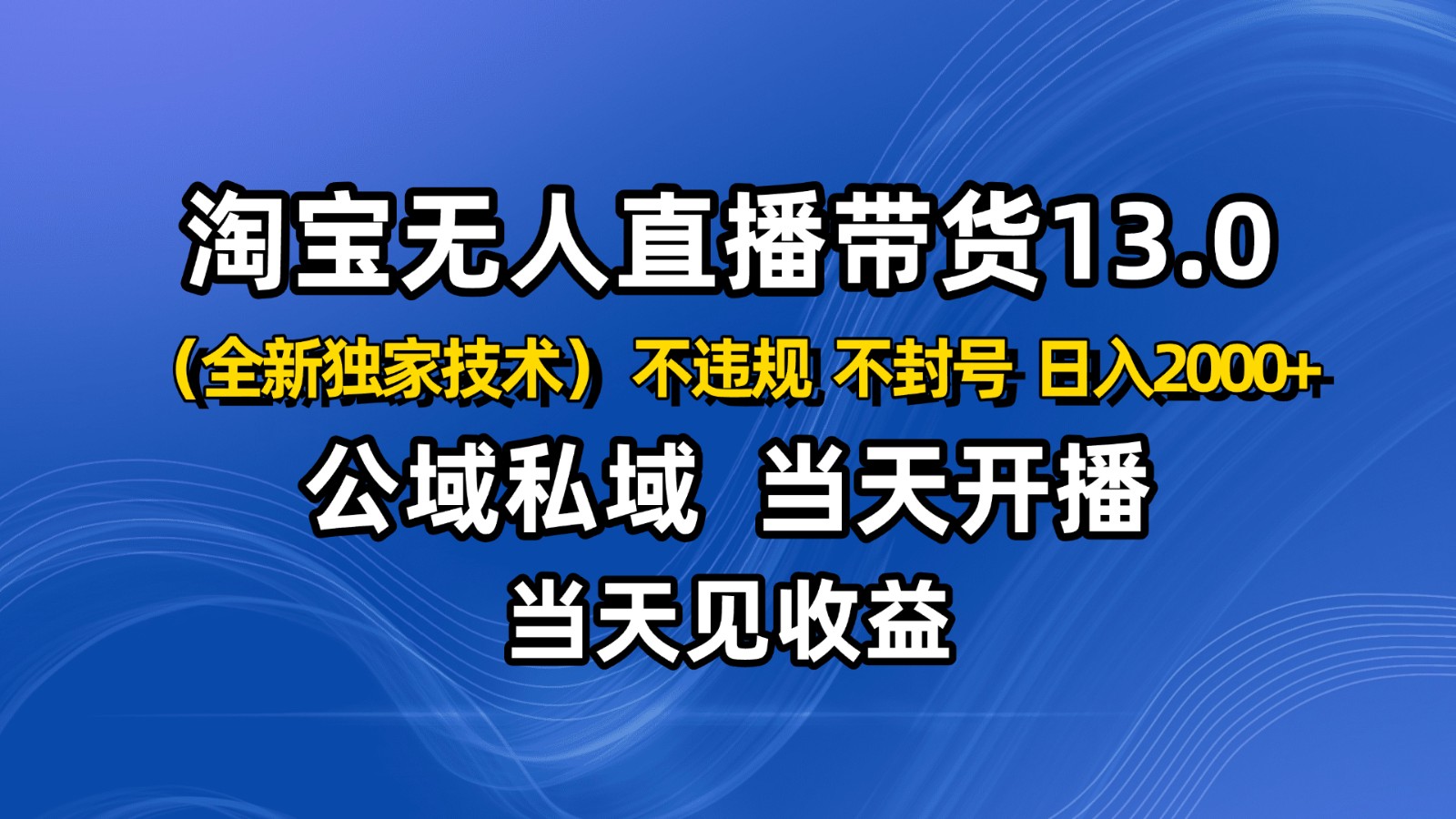 淘宝无人直播13.0，公域私域技术，不封号，不违规 布局下半年旺季赛道，日入2000+-理想项目库