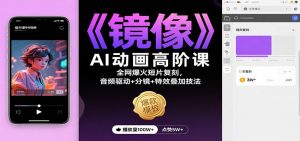 《镜像》AI动画高阶课：全网爆火短片复刻，音频驱动+分镜+特效叠加技法-理想项目库