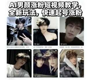 AI男颜涨粉短视频教学,全新玩法,快速起号涨粉-理想项目库