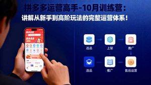 拼多多运营高手-10月训练营:讲解从新手到高阶玩法的完整运营体系!-理想项目库