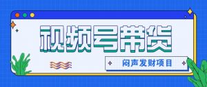 微信视频号带货项目，轻松日赚赚2000+，这个挣钱入口很多伙伴都在闷声发财-理想项目库