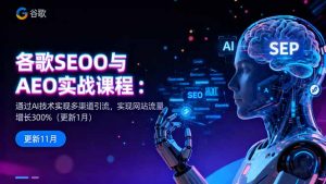 谷歌SEO与AEO实战课程：通过AI技术实现多渠道引流，实现网站流量增长300%-理想项目库