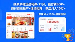 拼多多稳定盈利课-11月,强付费SOP+微付费高投产+活动矩阵,单店月入10万+-理想项目库