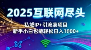2025网创尽头王炸项目!私域IP+精准引流,新手小白在家躺賺日入1k,零经验也能上手【揭秘】-理想项目库