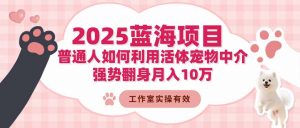 2025蓝海项目:普通人如何利用活体宠物中介,强势翻身月入10万-理想项目库