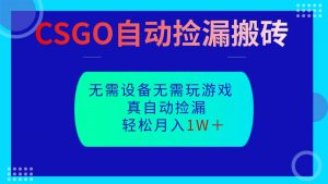 CSGO自动捡漏搬砖，当天操作当天见结果，无需了解游戏，包教包会包落地-理想项目库