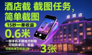 酒店截图任务，简单截图，15秒一单收益0.6米，一部手机不限地方时间，可矩阵单日收益3张【揭秘】-理想项目库