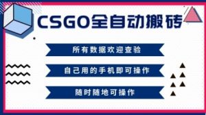 CSGO全自动搬砖，年底钱回家好项目，当天可拿到结果，新手小白轻松月入1W+【揭秘】-理想项目库