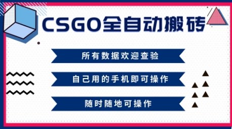 CSGO全自动搬砖，年底钱回家好项目，当天可拿到结果，新手小白轻松月入1W+【揭秘】-理想项目库