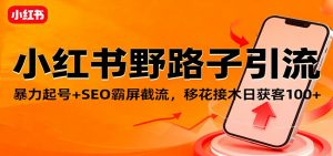 小红书野路子引流，暴力起号+SEO霸屏截流，移花接木日获客100+-理想项目库