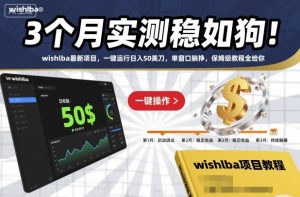 3个月实测稳如狗！wishlba最新项目，一键运行日入50美刀，单窗口躺挣，保姆级教程全给你【揭秘】-理想项目库