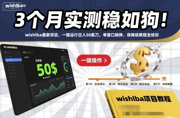 3个月实测稳如狗！wishlba最新项目，一键运行日入50美刀，单窗口躺挣，保姆级教程全给你【揭秘】-理想项目库