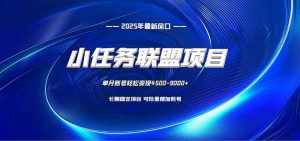 小任务联盟项目:一台电脑每天只需10分钟,轻松简单稳定-理想项目库