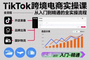 TikTok跨境电商实操课，从入门到精通的全实操流程-理想项目库