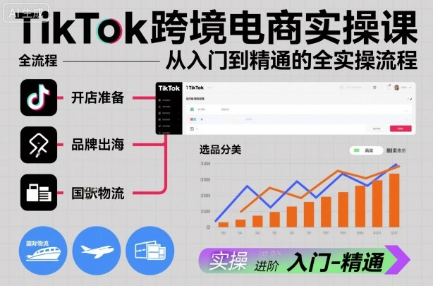 TikTok跨境电商实操课，从入门到精通的全实操流程-理想项目库