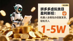 拼多多虚拟类目盈利新招：机器人全程包办回复发货，轻松月入 1-5W-理想项目库