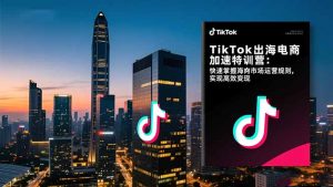 TikTok出海电商加速特训营：快速掌握海外市场运营规则，实现高效变现-理想项目库