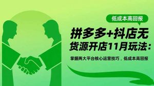 拼多多+抖店无货源开店11月玩法:掌握两大平台核心运营技巧,低成本高回报-理想项目库