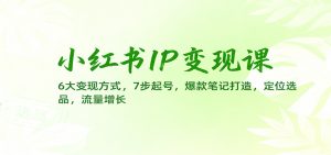 小红书IP变现课:6大变现方式,7步起号,爆款笔记打造,定位选品,流量增长-理想项目库