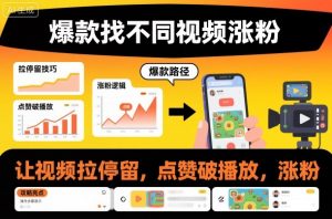 爆款找不同视频涨粉,让视频拉停留,实现点赞,破播放,涨粉-理想项目库