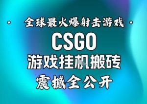 【年底大揭秘】基于全球最火爆的射击CSGO游戏挂G搬砖,日入5张+,震撼公开-理想项目库