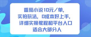 番茄小说10米每单,实拍玩法,0成本好上手,详细实操教程和平台入口适合大部分人-理想项目库