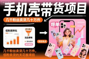 手机壳带货项目,几千粉丝卖货几十万件,短视频低粉卖货的天花板项目-理想项目库