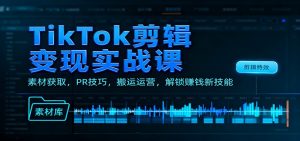 TikTok剪辑变现实战课:素材获取,PR技巧,搬运运营,解锁赚钱新技能-理想项目库