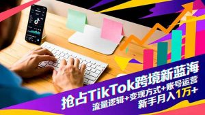 抢占TikTok跨境新蓝海:流量逻辑+变现方式+账号运营,新手月入1万+-理想项目库