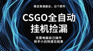 【稳定副业】全球最热门游戏CSGO全自动捡漏,最新玩法,新手小白日入5张+【揭秘】-理想项目库