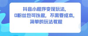 抖音小程序变现玩法,0粉丝也可以做,不需要成本,简单的玩法教程-理想项目库