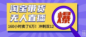 年前风口!淘宝带货,无人直播160小时卖了6万!-理想项目库