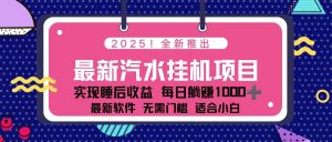 2025最新汽水音乐挂机项目 每天几分钟 轻松上w-理想项目库