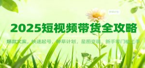 2025短视频带货全攻略:爆款文案,快速起号,种草计划,星图变现,新手零门槛上手-理想项目库