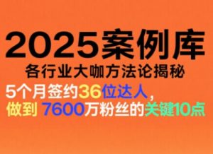 2025案例库,收录各行业大咖的方法论,各行业大咖方法论揭秘-理想项目库